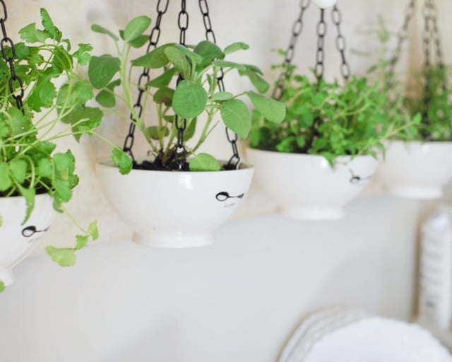 DIY Rae Dunn Hanging Herb Planters