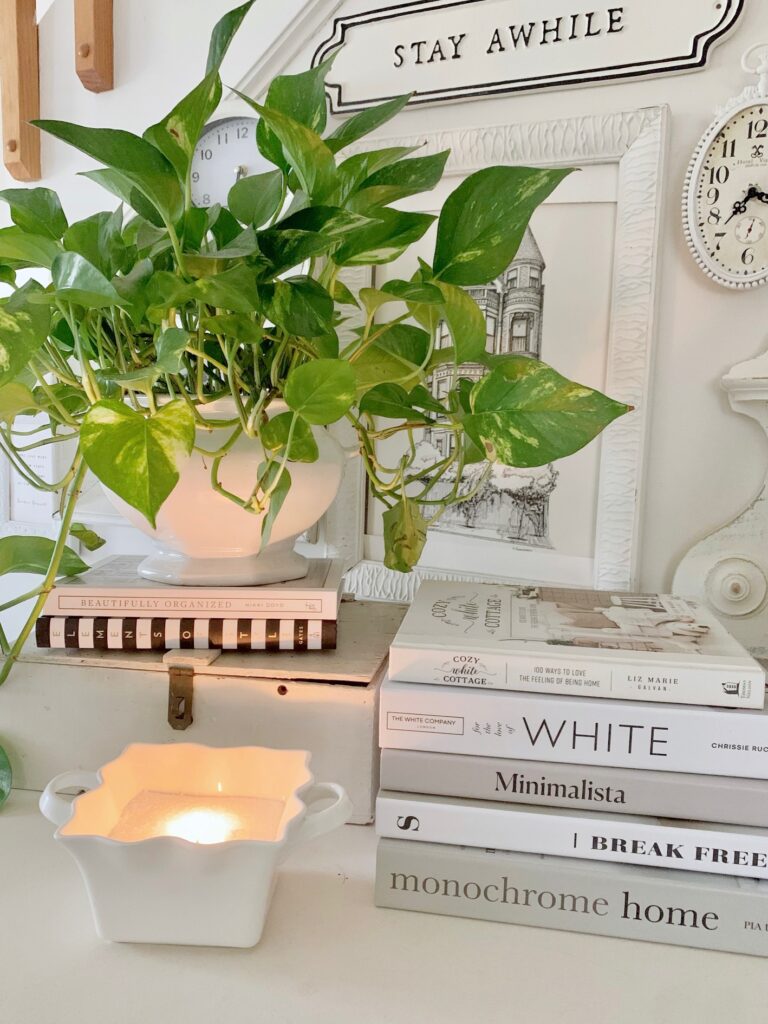 a pothos planted in a tureen on stacked books.