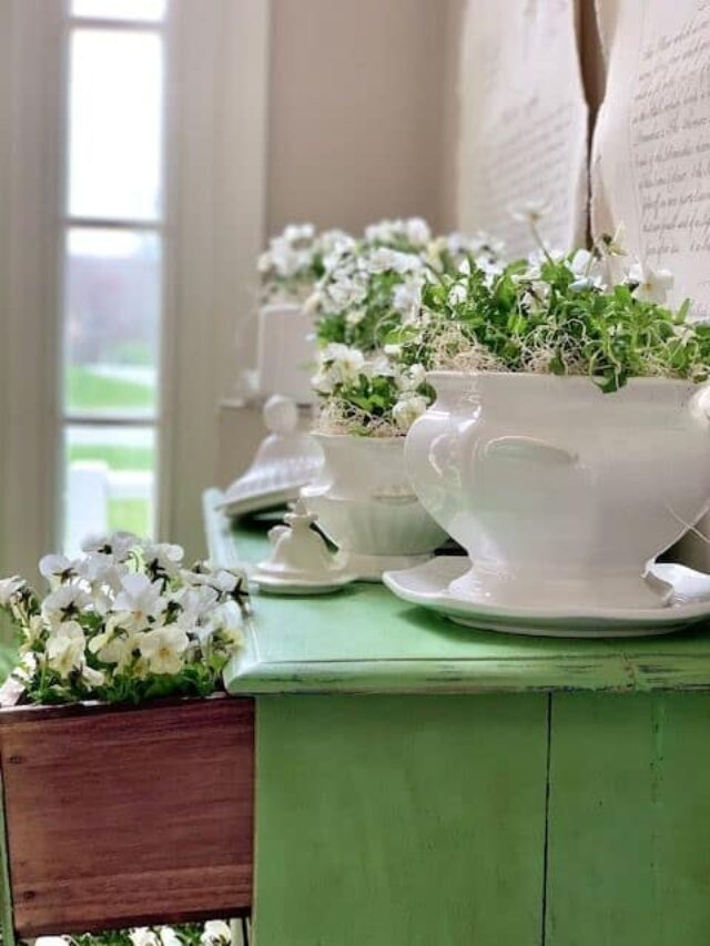 Using Vintage Soup Tureens as Planters