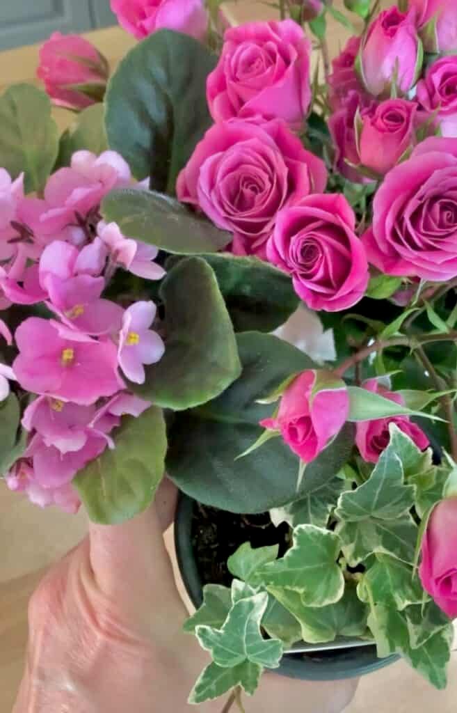 Roses, violets and ivy - the flowers for this cake. 