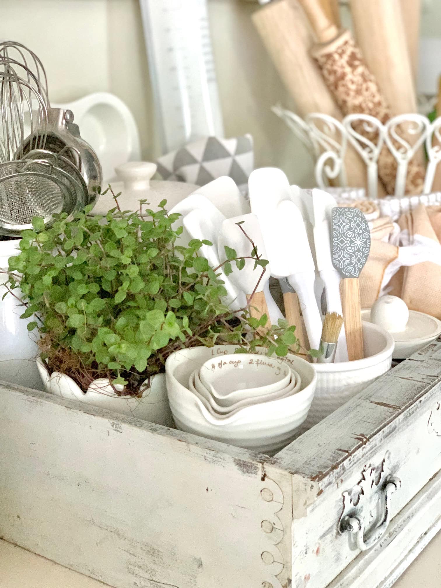 A vintage drawer housing measuring cups and spoons, spatulas, baking tools and a plant. 