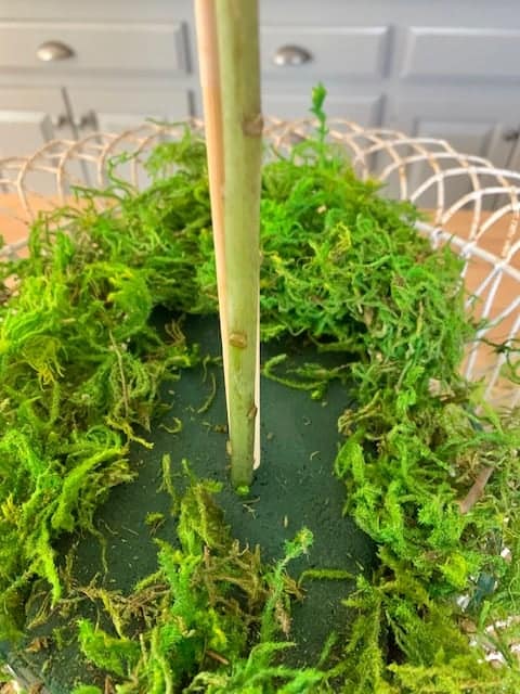 Lily stems against the stick supports.