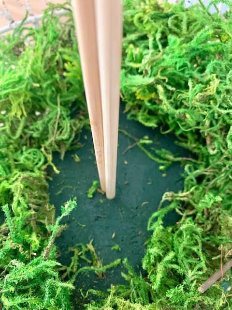 Sticks in the center of the foam.