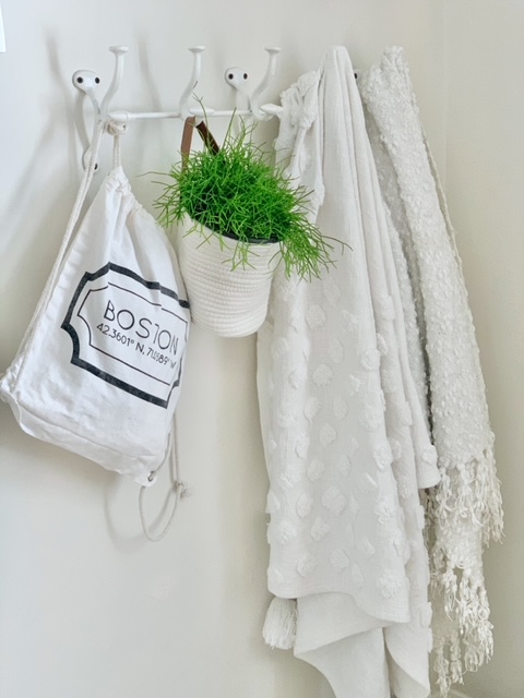 hanging basket with a plant on a coat rack with throw blankets