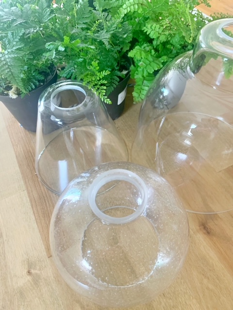 3 different glass lighting globes for this DIY self watering planter project