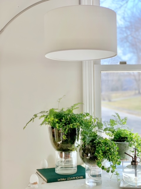 Lamp with self watering planters in front of a window. 