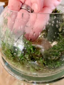 pressing the moss to the sides of the glass globe.