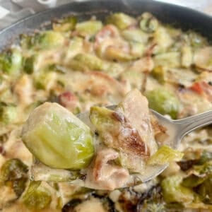 Creamy brussel sprouts on a fork over the finished recipe.