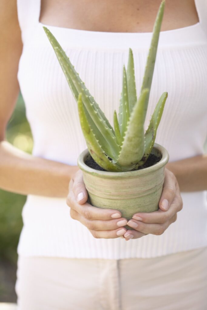 woman holding a small aloe plant in a ceramic container. 