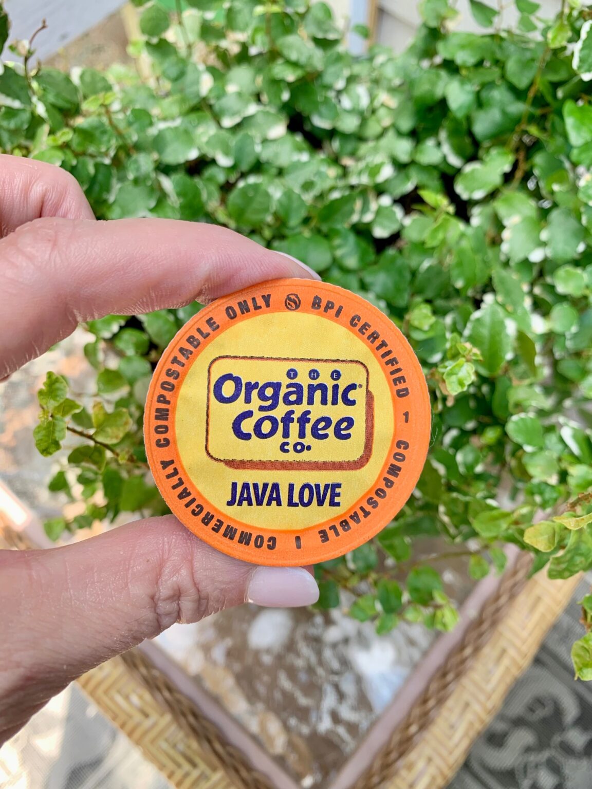 Which Indoor Plants Like Coffee Grounds (and how I use my Keurig to