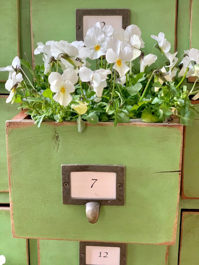 Distressed green drawer with white pansies. This drawer is part my green card catalog project. 