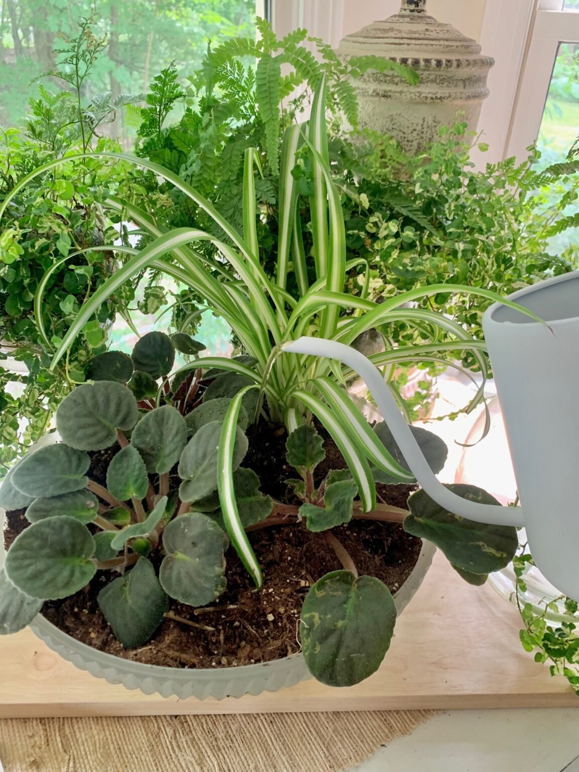 Natural Fertilizer for Indoor Plants 10 Organic Options You Can Make