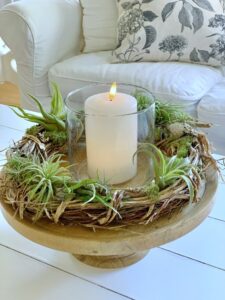 air plants arranged on a grapevine wreath as a candle holder.