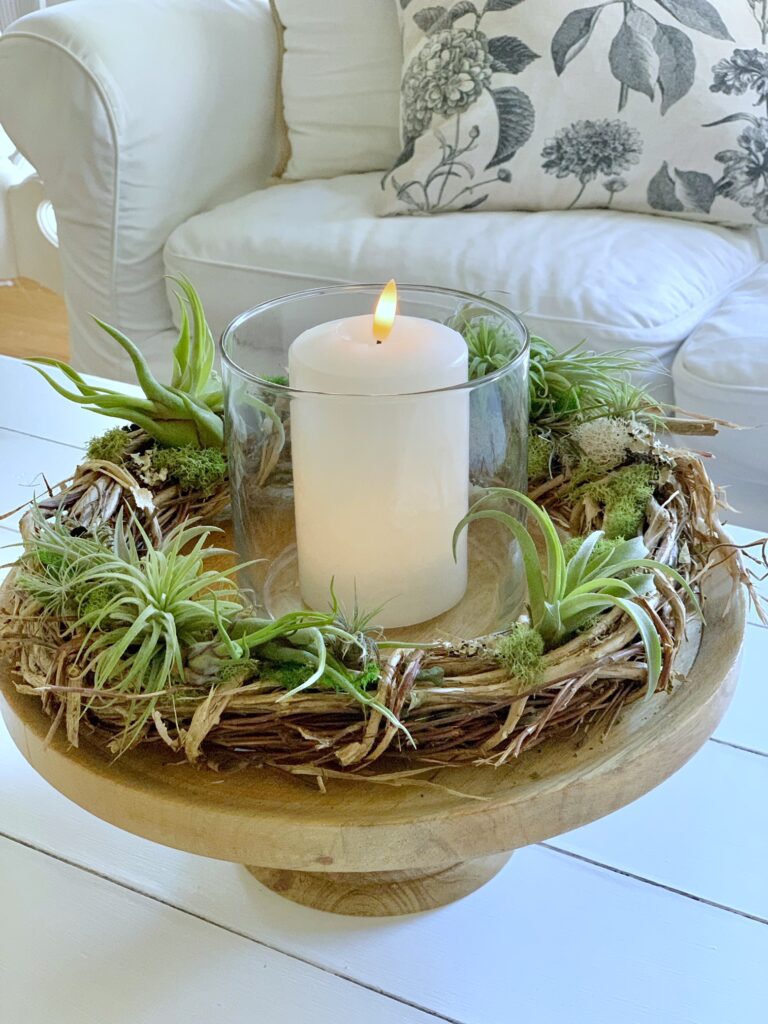 a full picture of the air plant grapevine wreath ring. it sits on a wooden pedestal with a glass hurricane in the center.  
