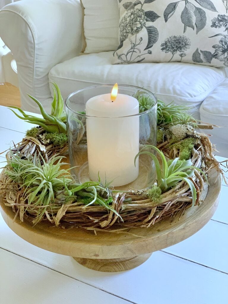 A full picture of the air plant grapevine wreath ring. it sits on a wooden pedestal with a glass hurricane in the center.  