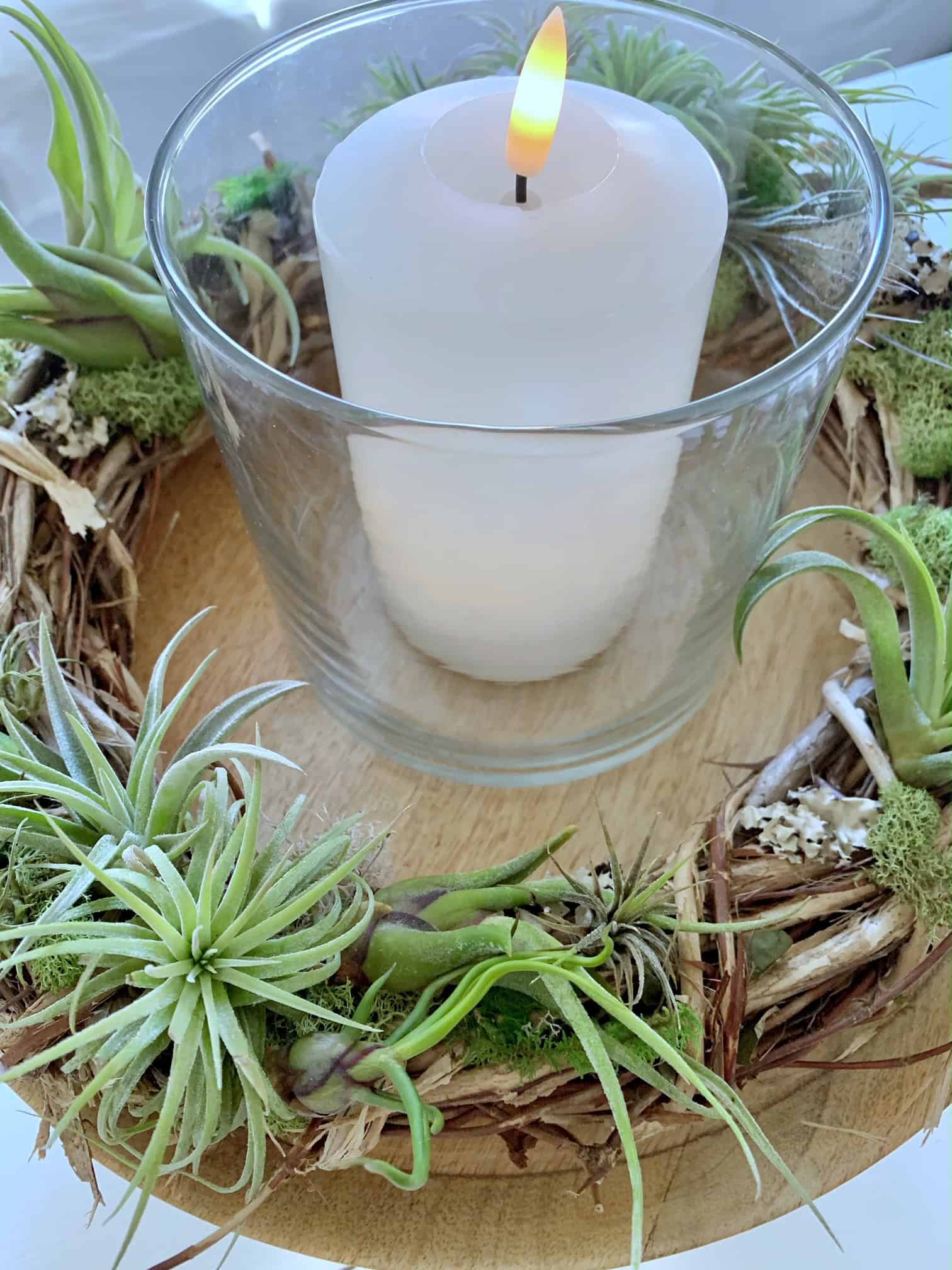 Air plant display with grapevine wreath.