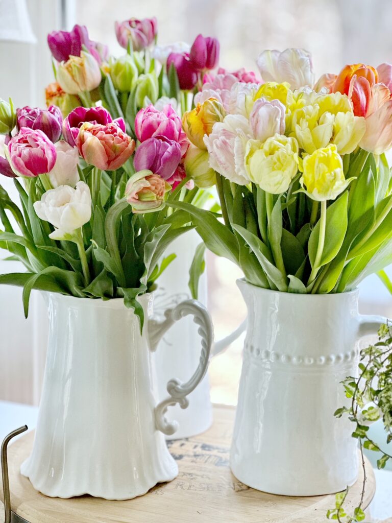 pitchers of cut tulips. 