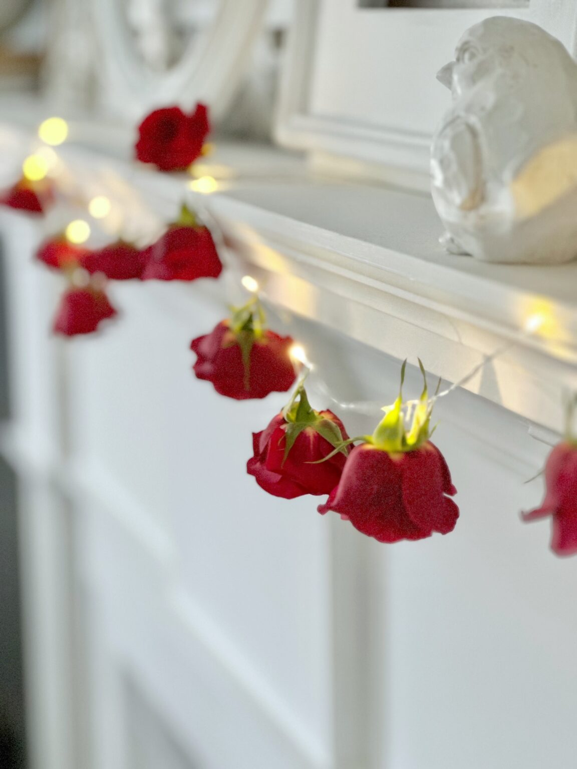 How To Keep Roses Alive Forever (including 5 ideas for what you can do