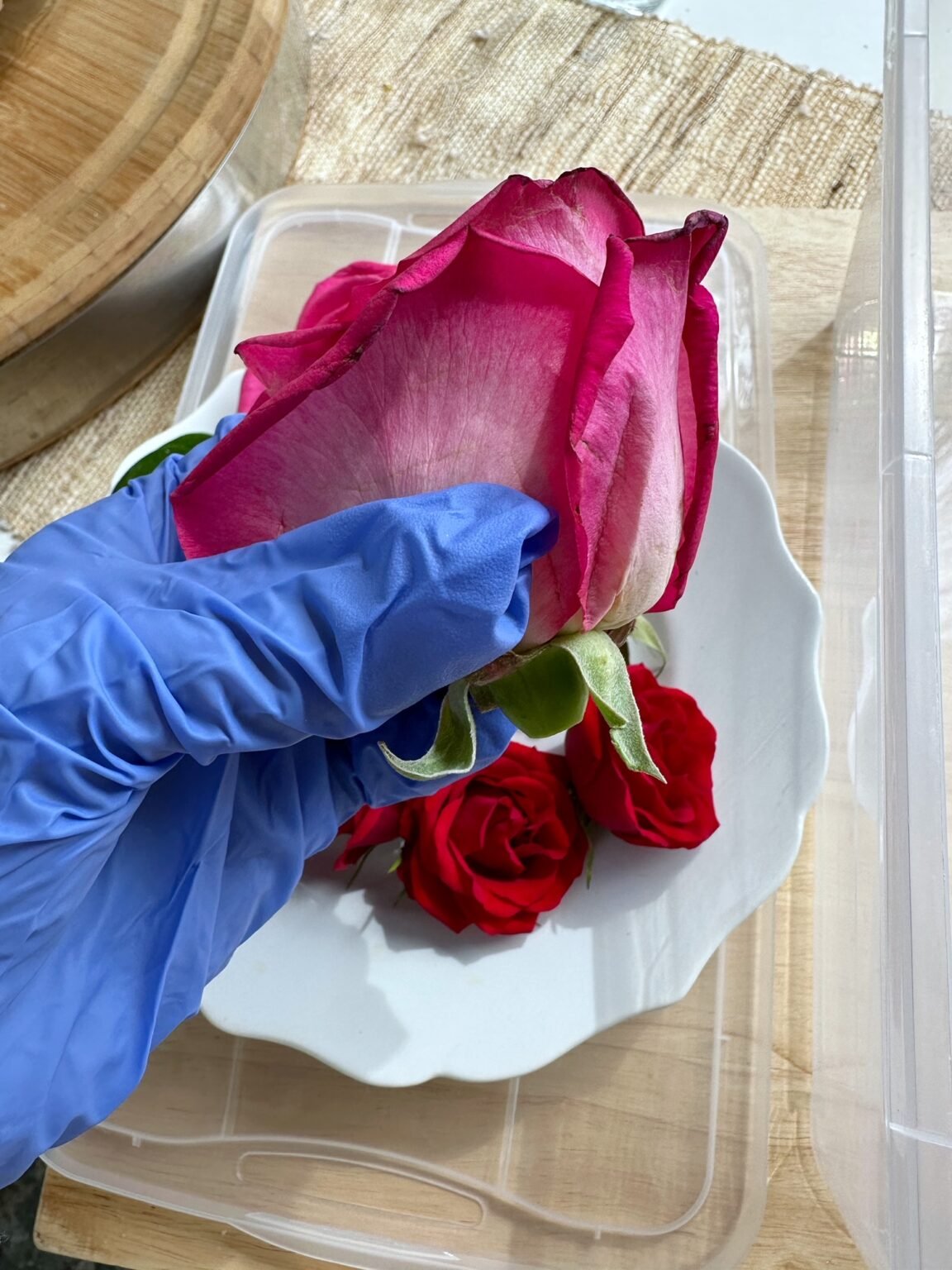 How To Keep Roses Alive Forever (including 5 ideas for what you can do with them) Celebrated Nest
