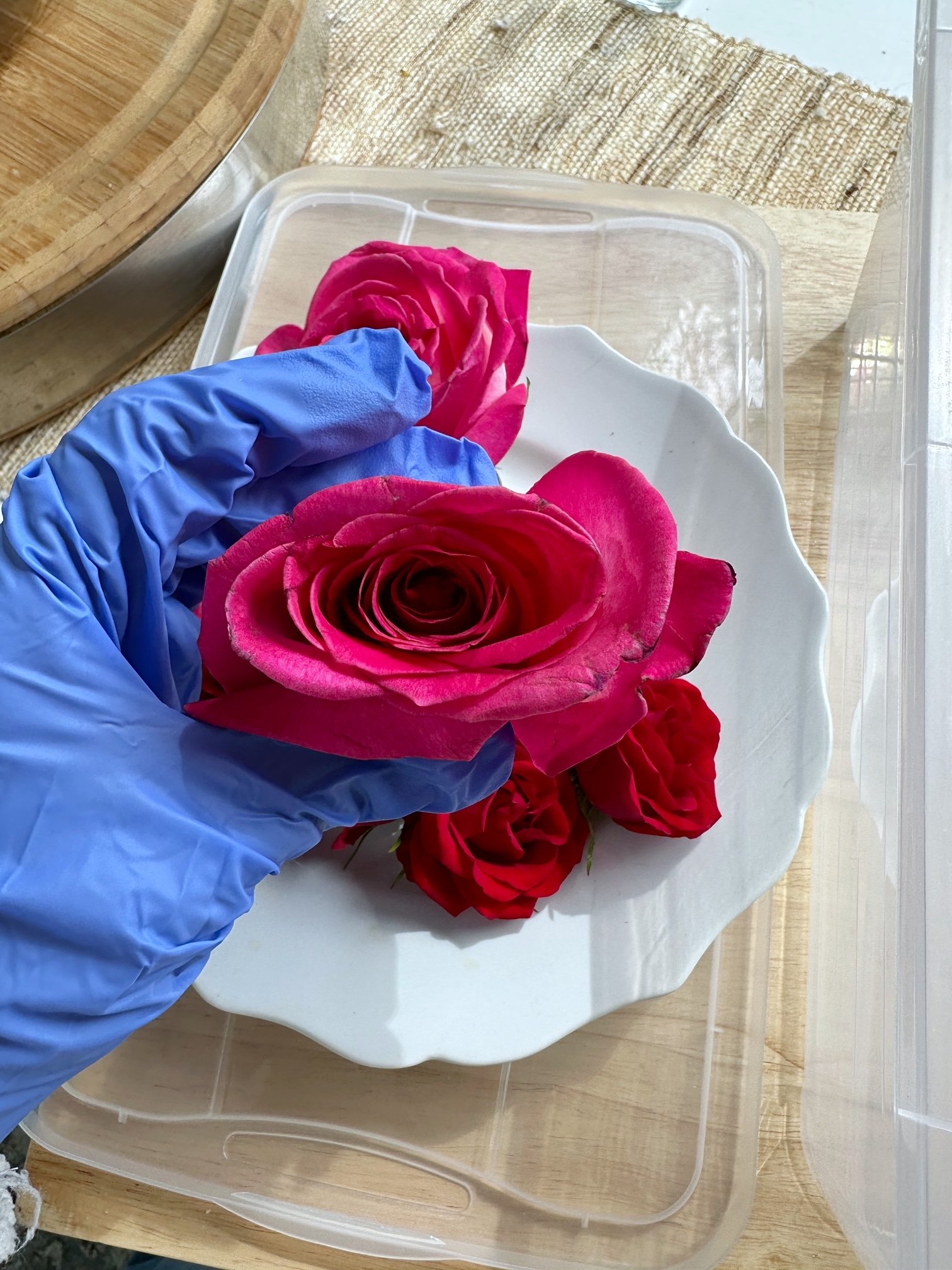 How To Keep Roses Alive Forever (including 5 ideas for what you can do