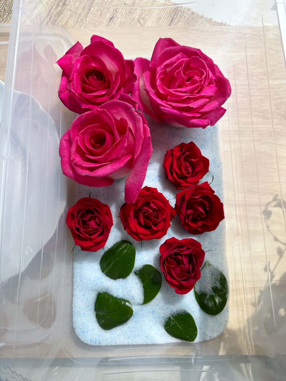 How To Keep Roses Alive Forever (including 5 ideas for what you can do