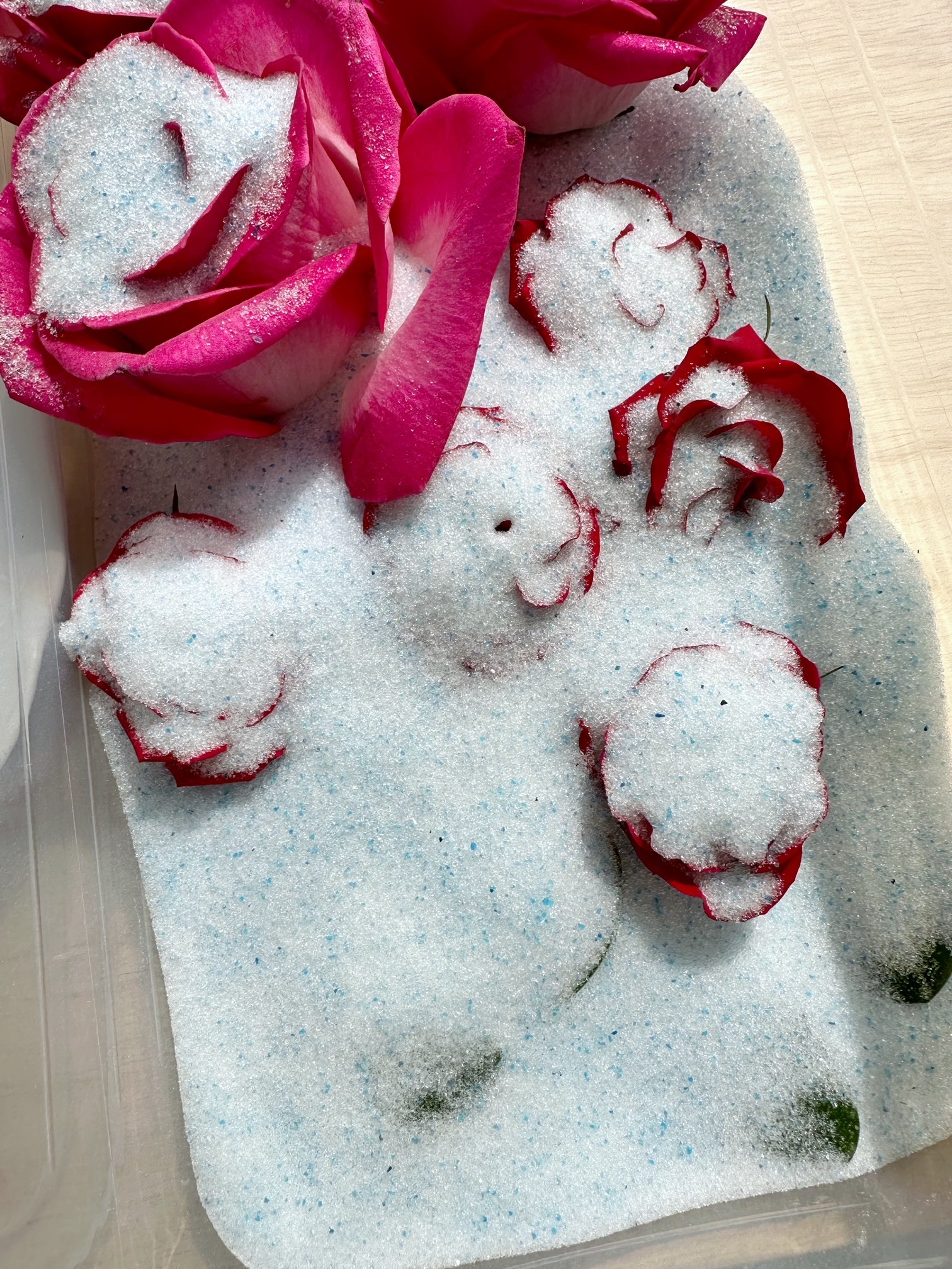 How To Keep Roses Alive Forever (including 5 ideas for what you can do