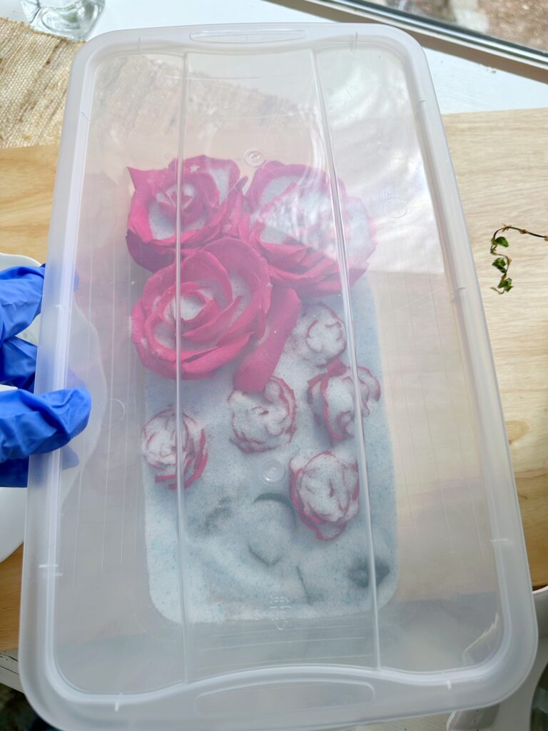 The cover on top of the container holding the roses in silica crystals. 