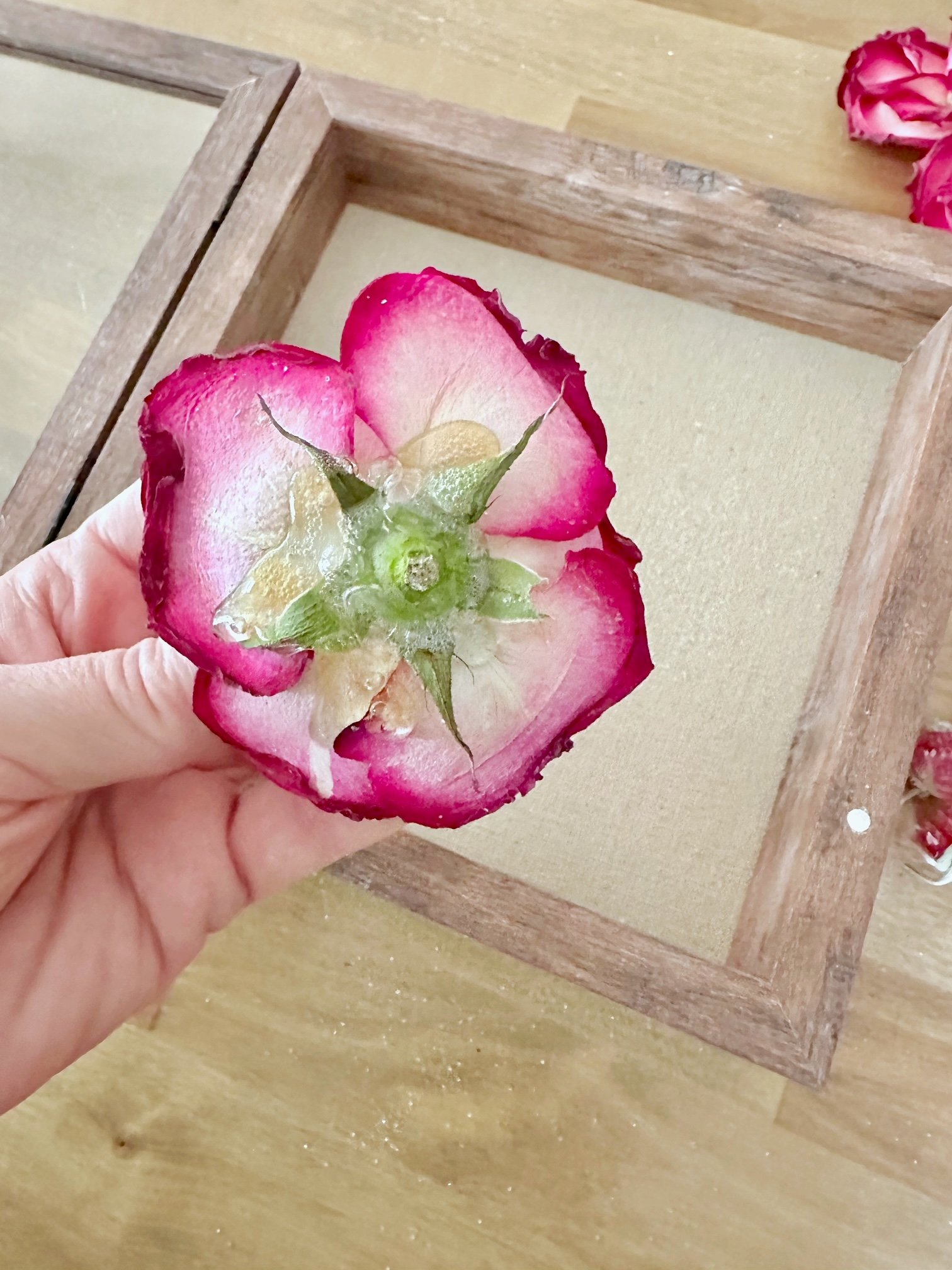 What to Do with Dried Roses 20 Easy Crafts for Preserved Blooms Celebrated Nest