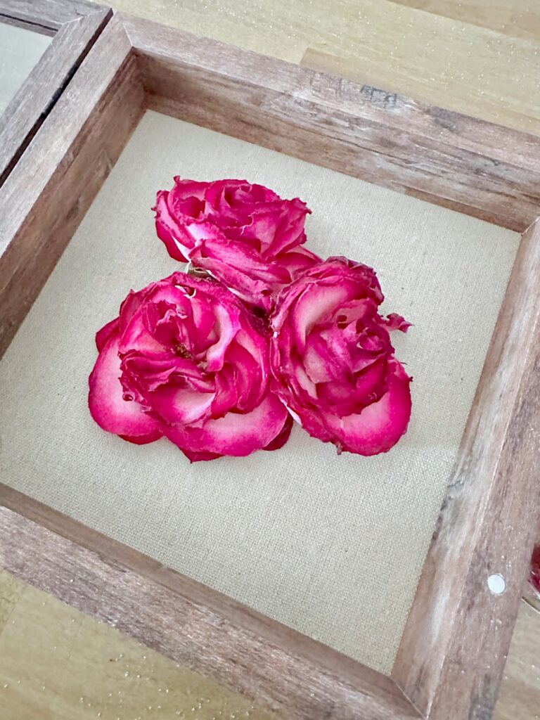 cluster of 3 large preserved roses glued to the shadow box. 