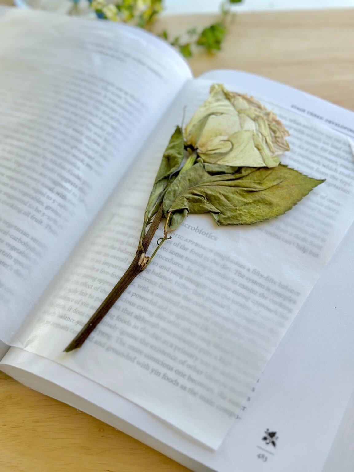 How To Keep Roses Alive Forever (including 5 ideas for what you can do