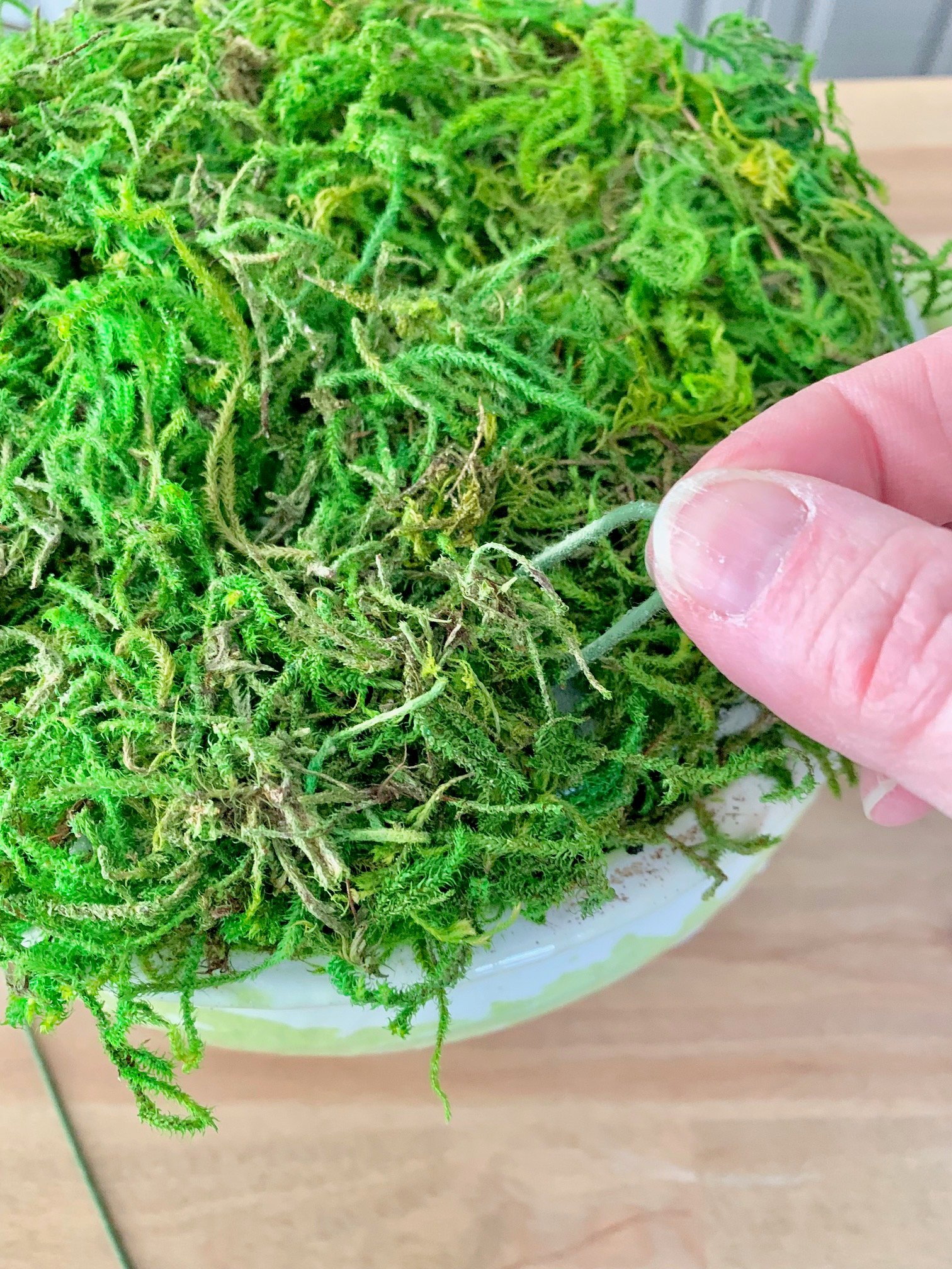 Placing a U shaped wire over moss to keep in in place in dry floral foam.