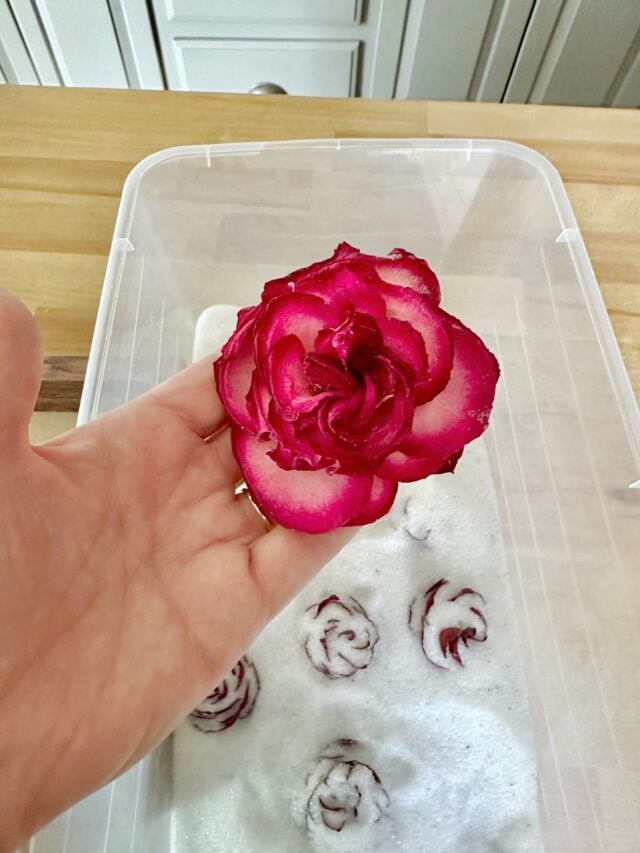 How To Keep Roses Alive Forever