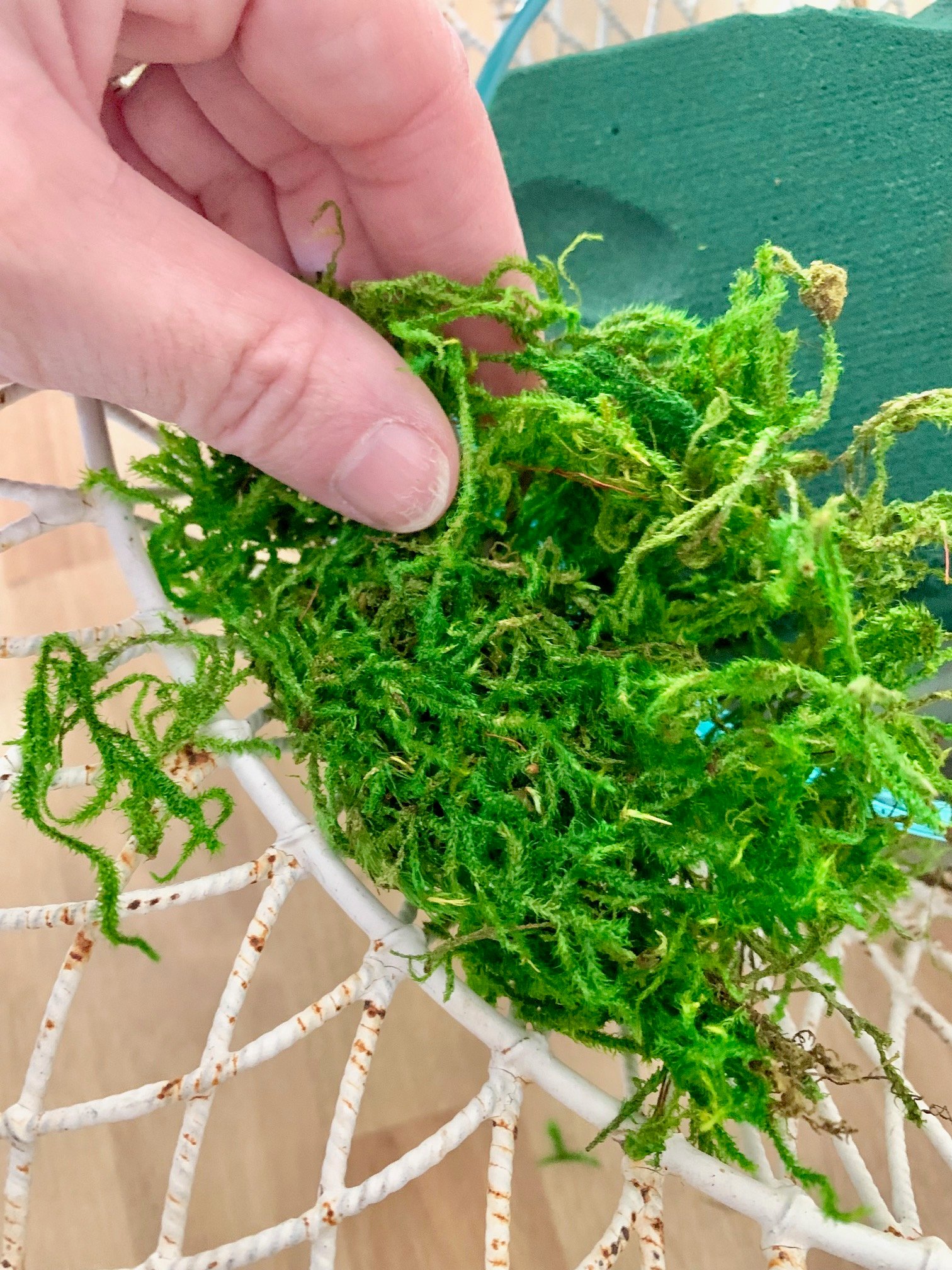 Placing sheet moss over wet floral foam to cover it before arranging.