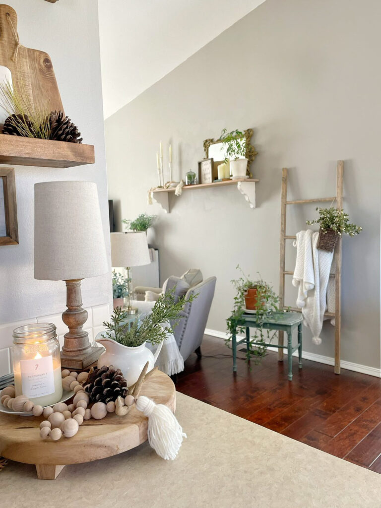 a blanket ladder with a blanket and some plants and other decor elements. 
