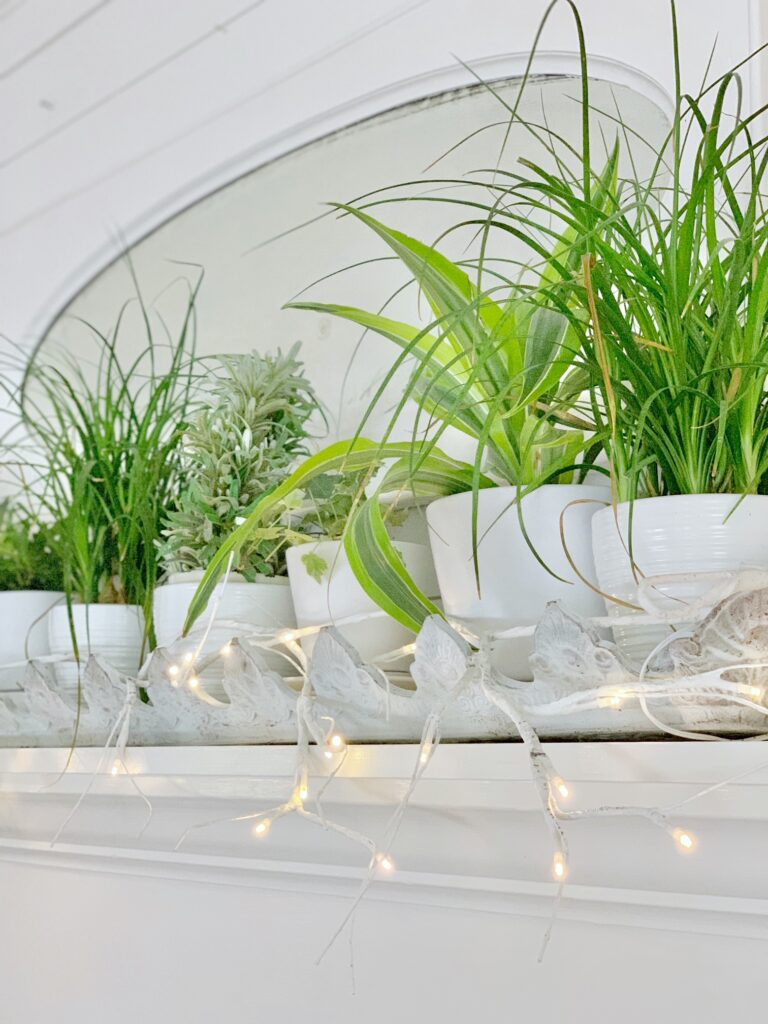 the mantel with plants and twinkle light in front of the mirror. 