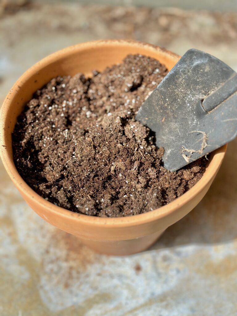 a shovel in a pot with soil. 
