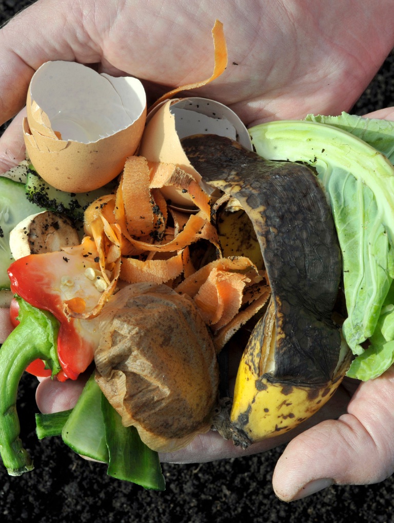 a handful of kitchen compost material including banana peel and eggshells all beginning to rot. 