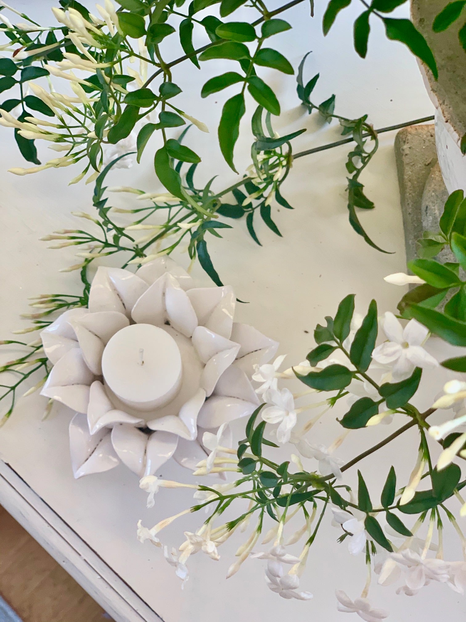 A flowering jasmine plant with a flower shaped white candle holder with candle.