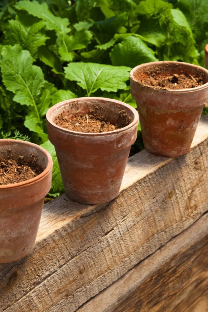 3 clay pots on a deck railing with soil in them. 