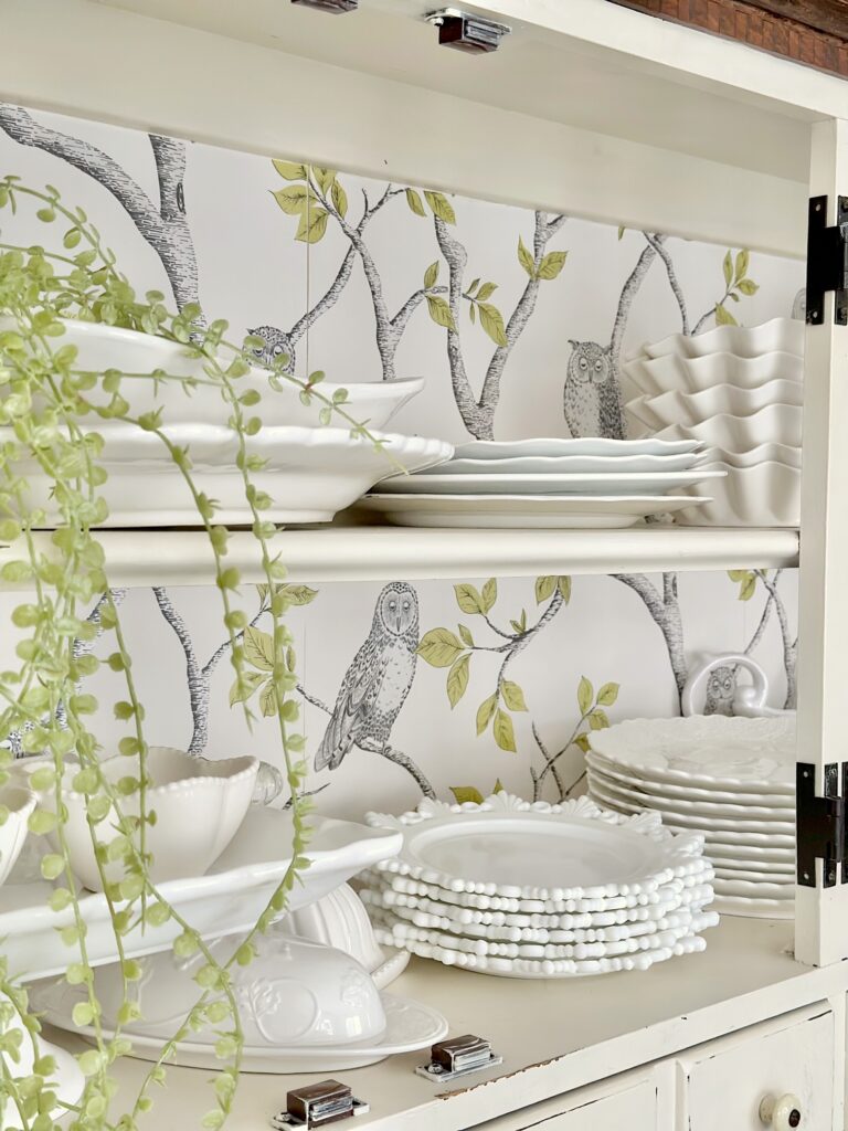 a close up of the wallpaper on the back of the china cabinet with plates and dishes in the forefront. there is a green plant hanging off the shelf as well.