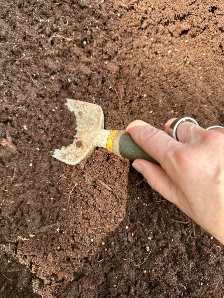 a hand shovel in soil. 