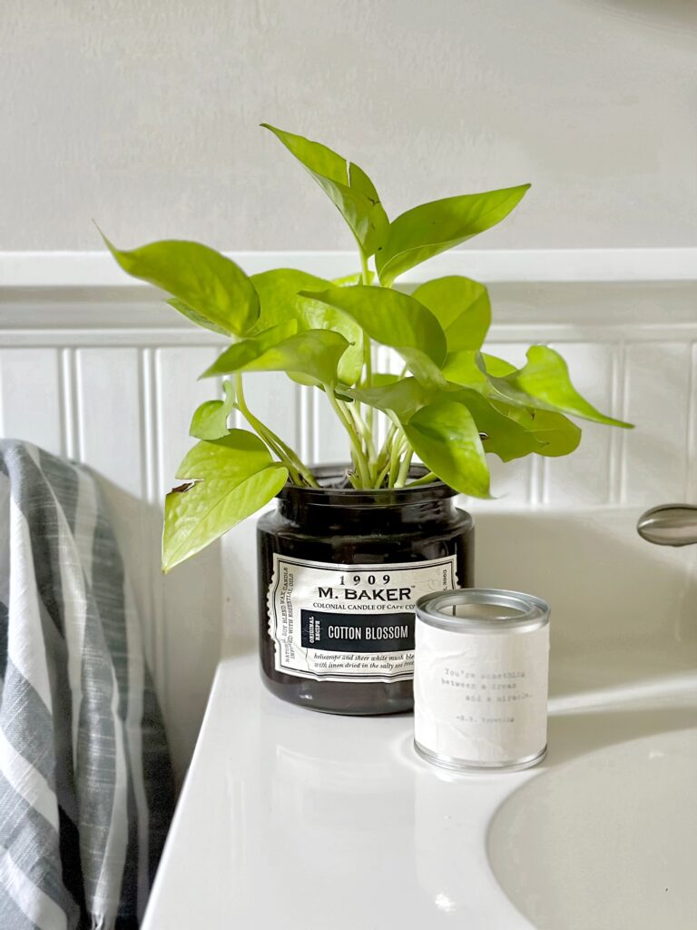 Pothos plant in a candle jar on a bathroom vanity.