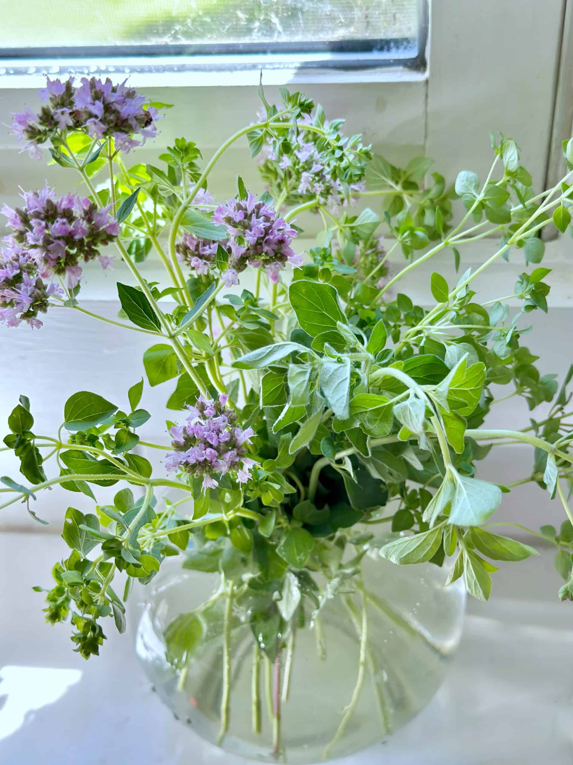 Fresh cut herbs in a little vase near my kitchen sink. 