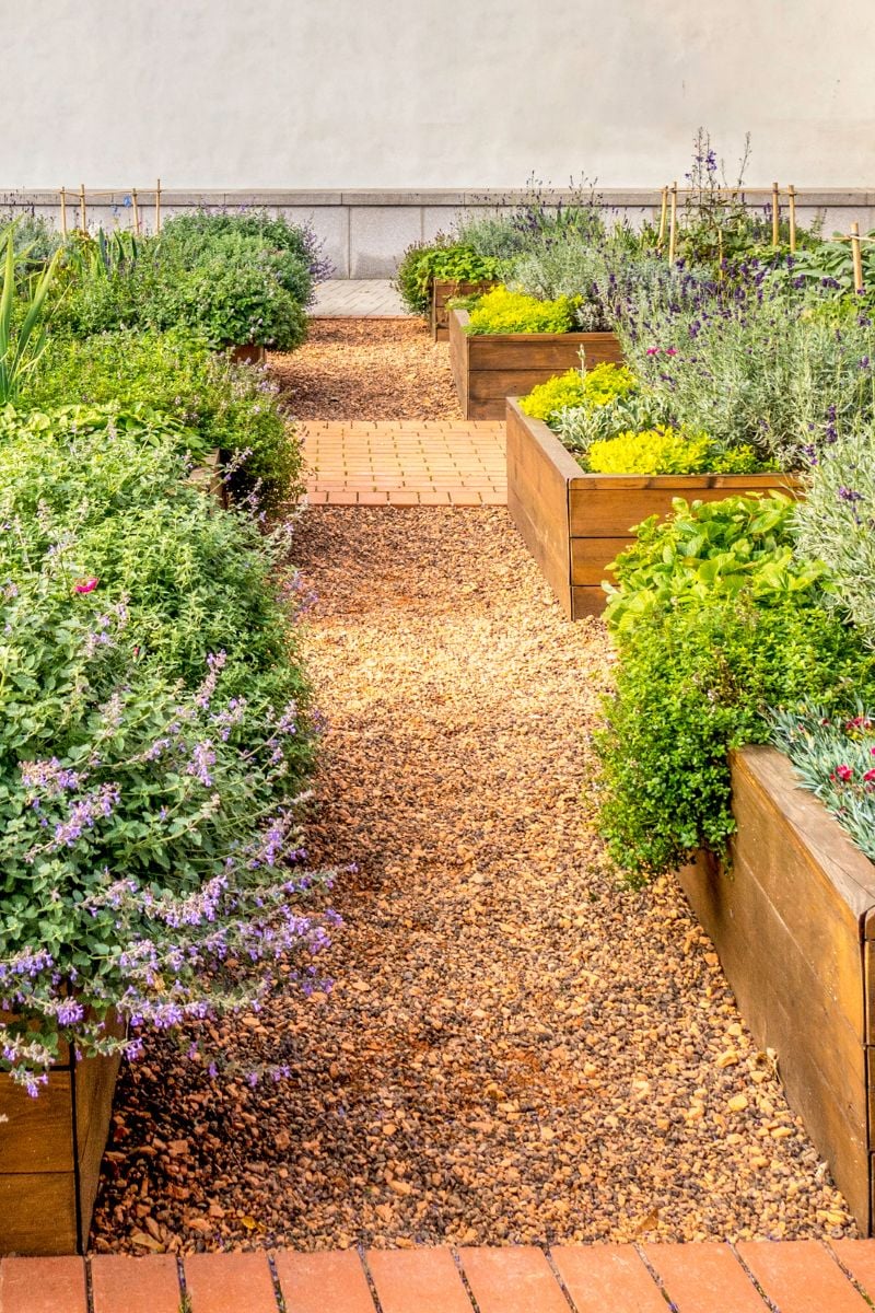 The Benefits of Companion Planting with Herbs