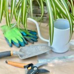 a collection of tools to repot a spider plants including gloves, paper, bag, trowel and gardening shears.