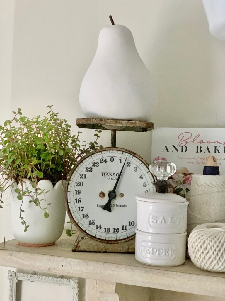 a small plant on a shelf with a vintage scale, white ceramic pear.