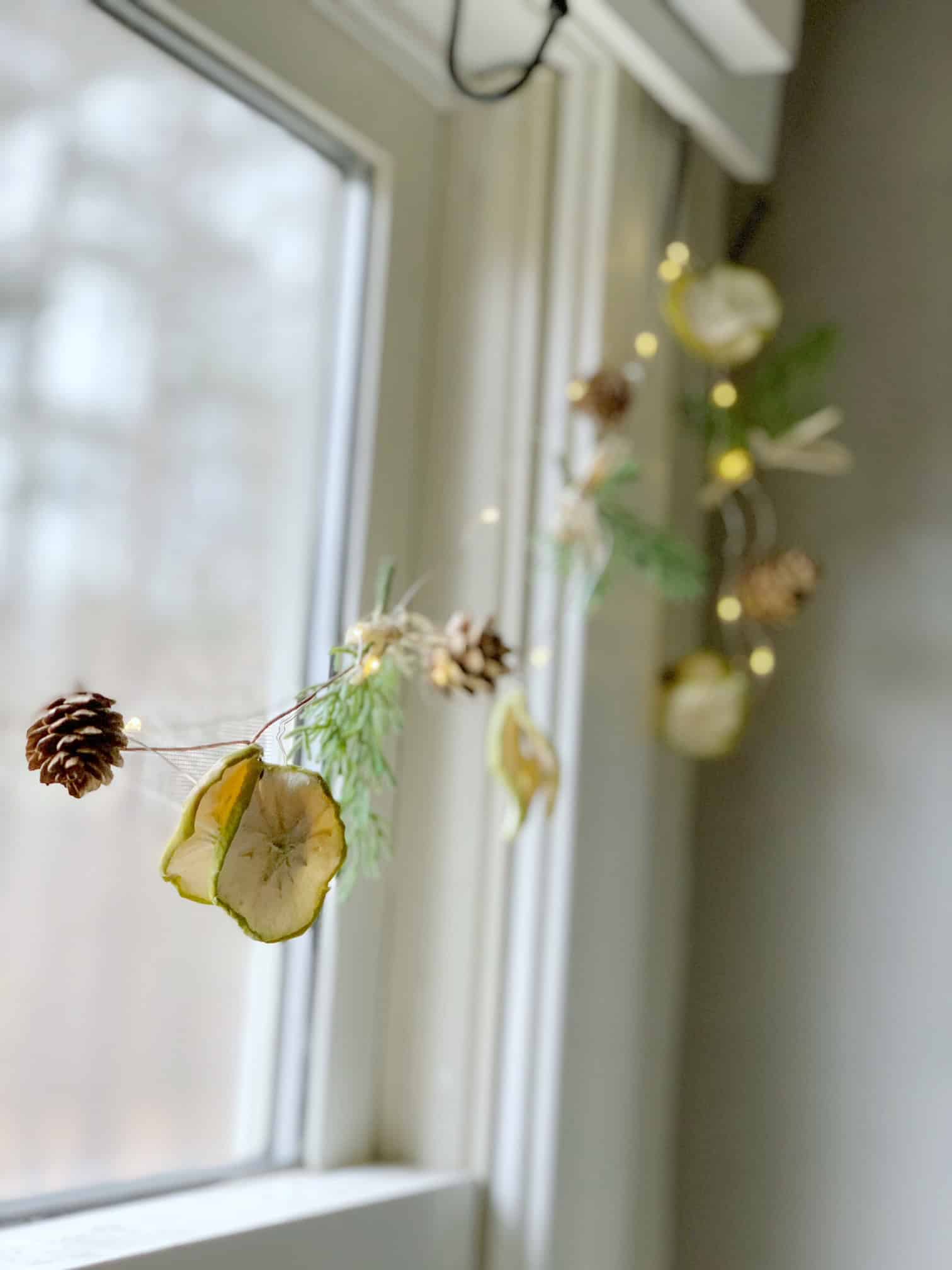 The completed dried fruit garland. its a very dainty scandanavian style garland with twinkle lights.