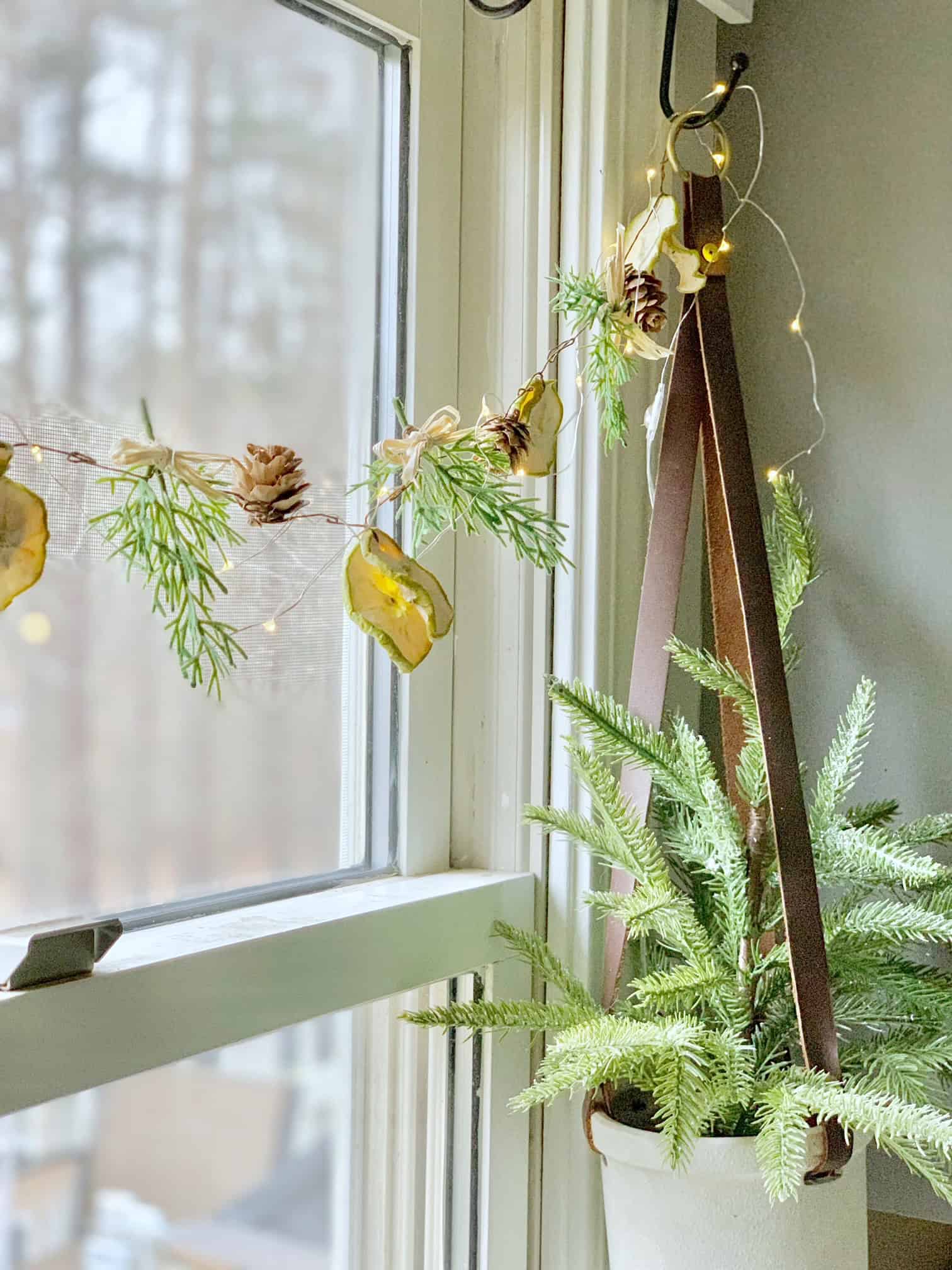 The finished fruit garland in my kitchen window with a small pine tree in a hanging pot. 