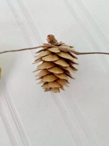 wrapping the pine cones around the leaves.