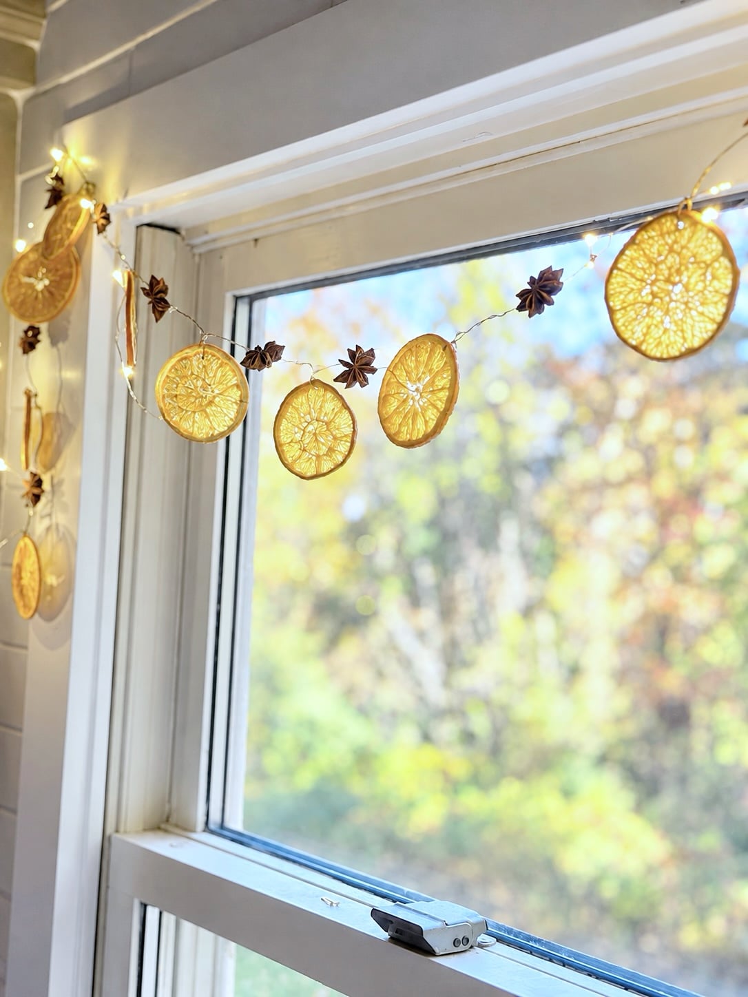 Beautiful dried oranges hung in a window. 